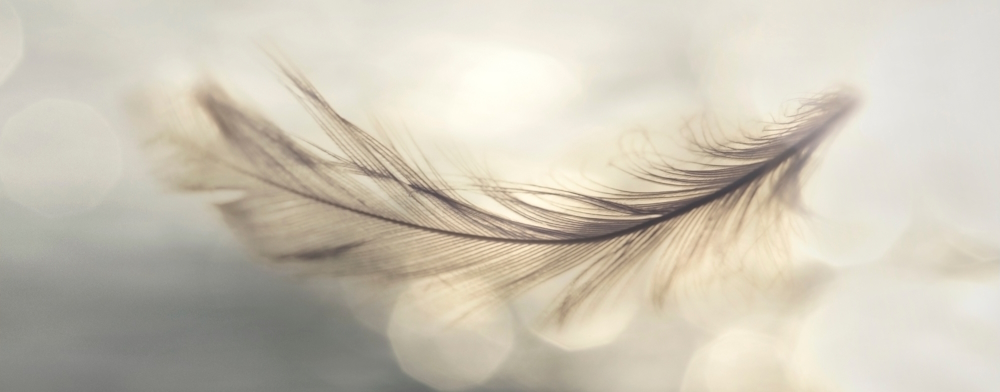 feather flies gently into the sky, concept of lightness